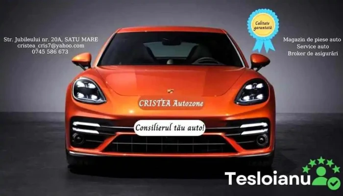 Cristea AutoZone - Satu Mare 440233