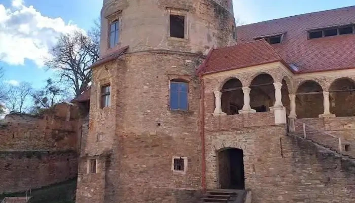Criș - Criș