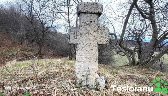 Crucea - Cozieni