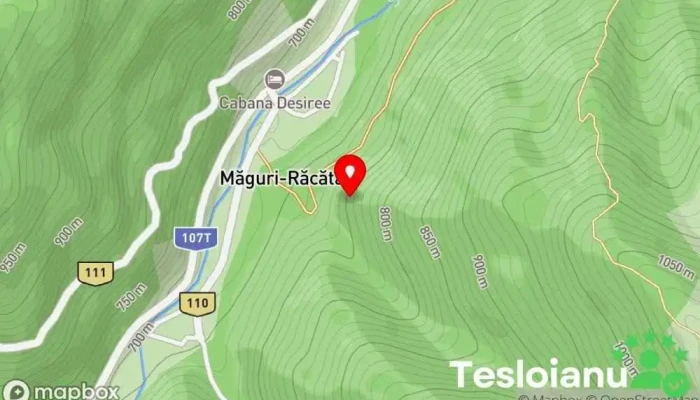 hartă a C.S.V. MĂGURI-RĂCĂTĂU  în Com. Maguri Racatau, Cluj, 407365