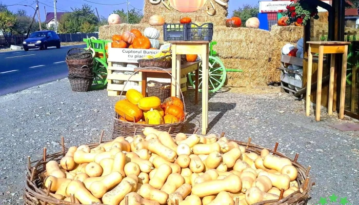 Cuptorul Bunicii -  Mancaruribauturi - Zilişteanca