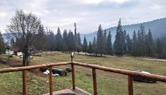 Curtea Cu Cai -  Aproape De Mine - Borsec