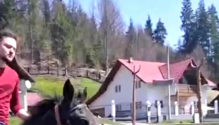 Curtea cu cai - Borsec