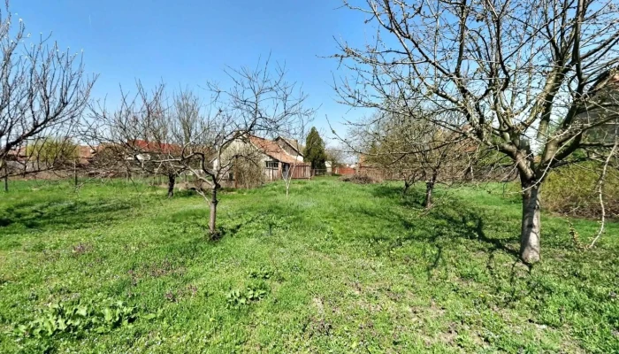 Curtici -  Street View Si 360deg - Curtici