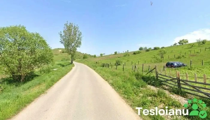 Cutii de viteze, Decisiv cutii Srl - România