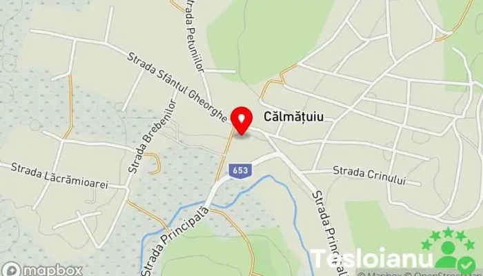 Călmăţuiu - Călmăţuiu