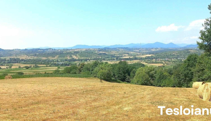 Cărbunari - Cărbunari