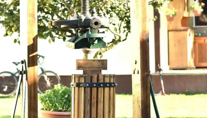 Cătină la teasc - Letea Veche 600008