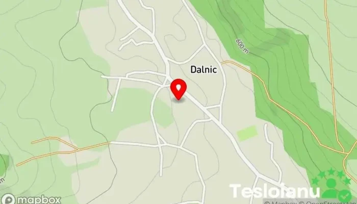 hartă a Dalnic  în Dalnic