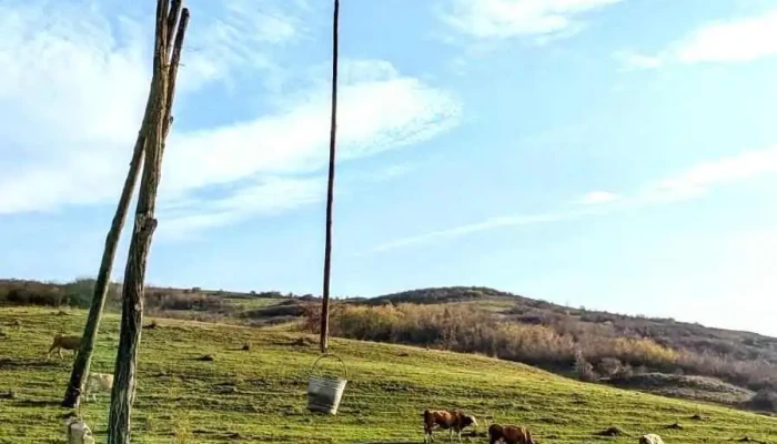 Dambu Adresă - Dâmbu
