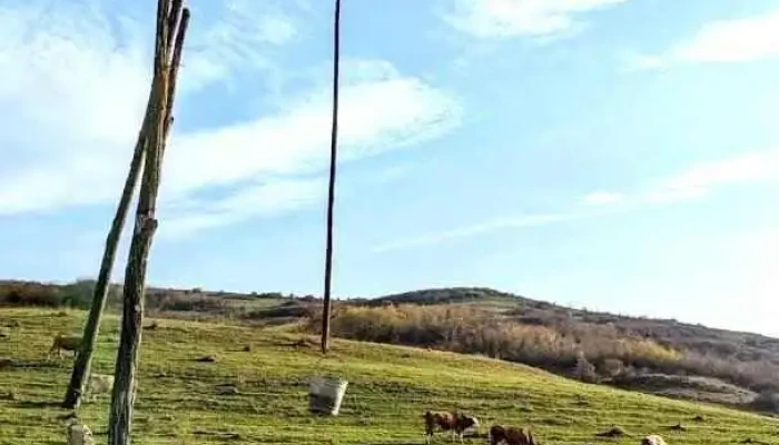 Dâmbu - Dâmbu