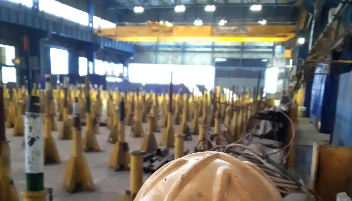 Damen Shipyards Mangalia -  Comentarii - Mangalia