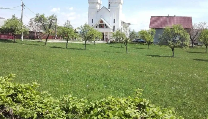 Danesti Unde - Dănești