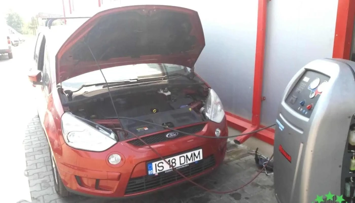 David - Fast - Pașcani 705200