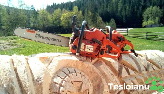 Dealer Local Husqvarna -    Marginea Comentarii - Marginea