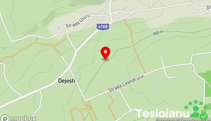hartă a Dejeşti  în Dejeşti