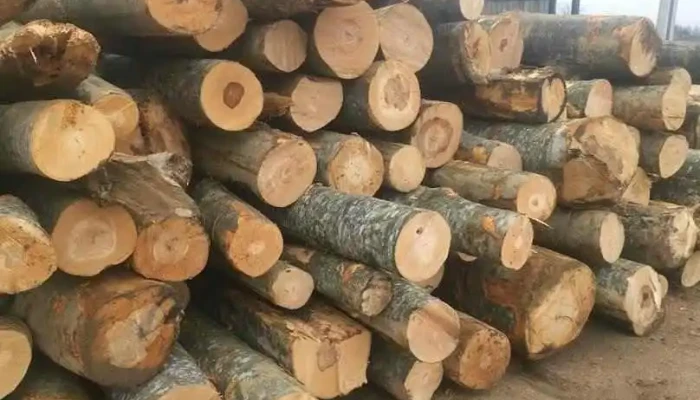 Depozit Cherestea Posta Calnau - Poșta Câlnău
