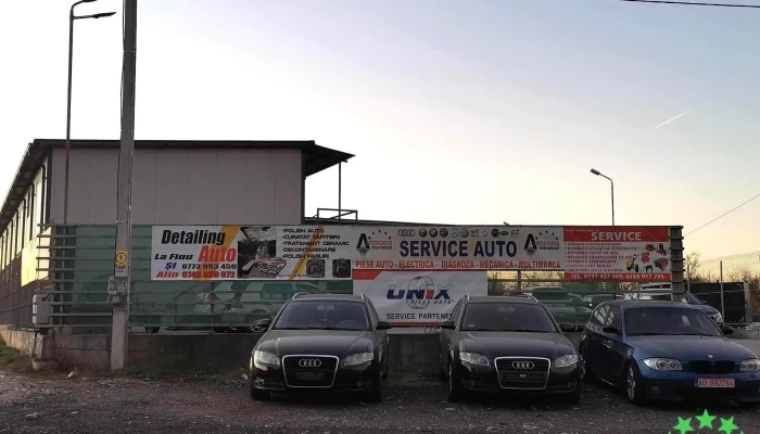 Detailing Auto La Finu Alin De La Proprietar - Albota