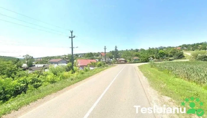 Dimache Concept - Vulcanizare Breazu Iasi - România