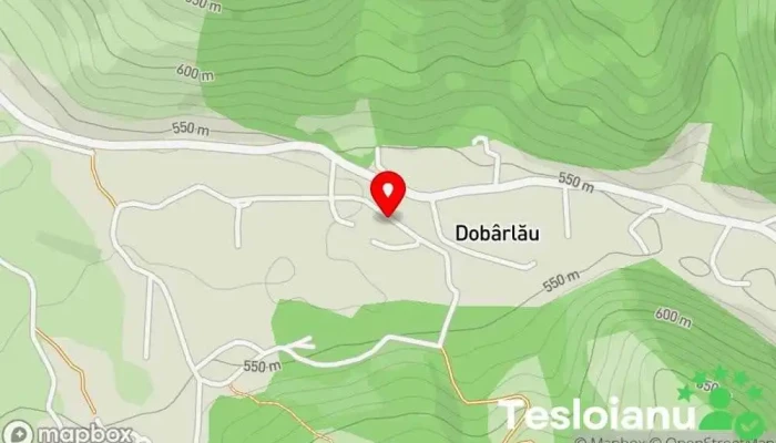 hartă a Dobârlău  în Dobârlău