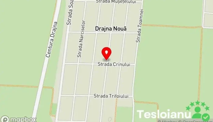 hartă a Drajna Nouă  în Drajna Nouă