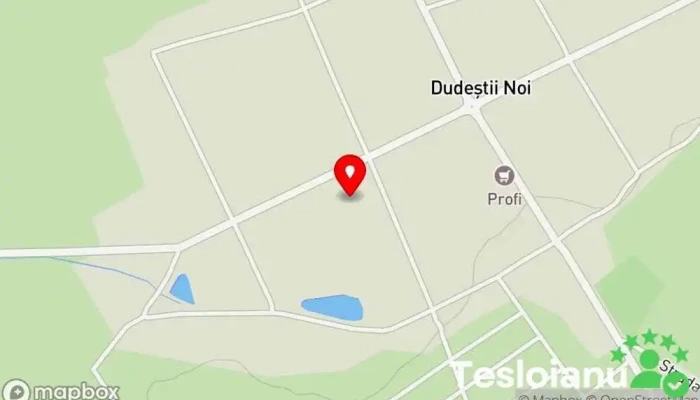 hartă a Dudeștii Noi  în Dudeștii Noi