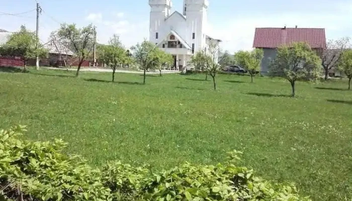 Dănești - Dănești