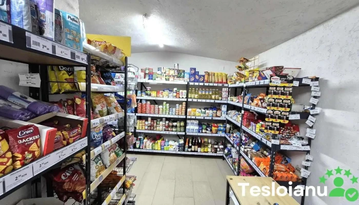 E-shop Market Place Srl - Albeștii Pământeni