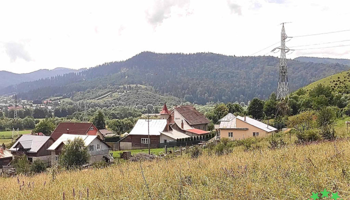 Ecosasu -  De La Vizitatori - Gura Humorului