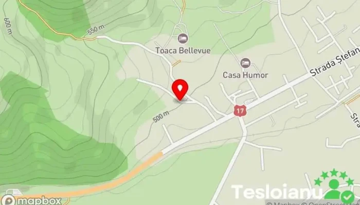 hartă a Ecosasu Cabană în Gura Humorului