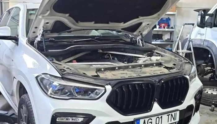 Ef Med Service Auto Albota -  De La Proprietar - Albota
