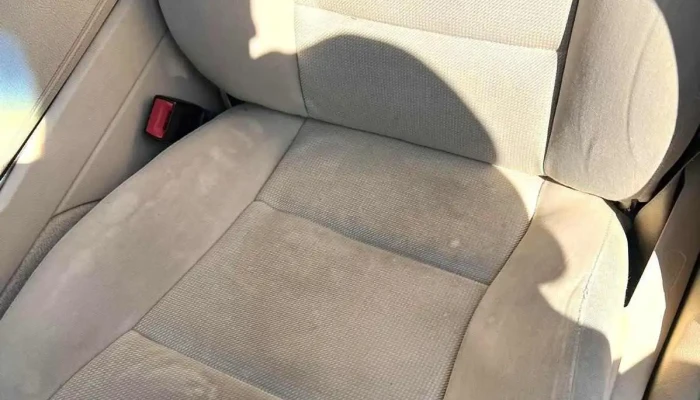 EleCtrO House Cleaning (Detailing/curatare auto) - Macea 317210