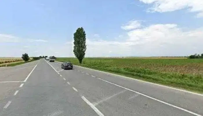 Elis Pavaje Fabrica Stoenesti Prahova Street View Si 360deg - Stoenești