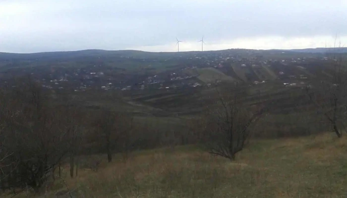 Emil Racovita Instagram - Emil Racoviţă