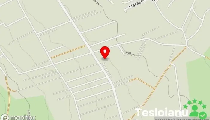 hartă a Express Euroscan Companie de transport cu autocamioane, Atelier de reparații auto în Ipotești
