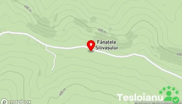 hartă a Fânaţele Silivaşului  în Fânaţele Silivaşului
