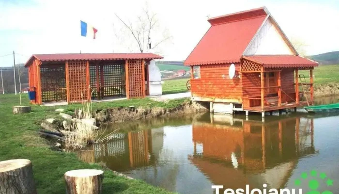 Fânațe - Fânațe