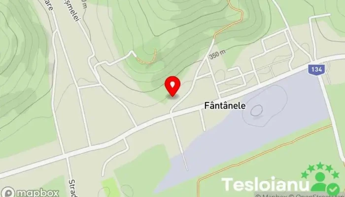 hartă a Fântânele  în Fântânele