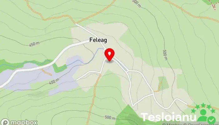 hartă a Feleag  în Feleag
