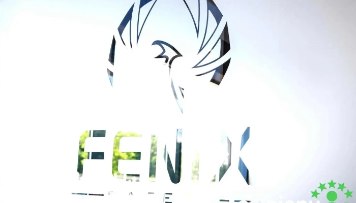 Fenix Safety Romania - Miroslava 707305