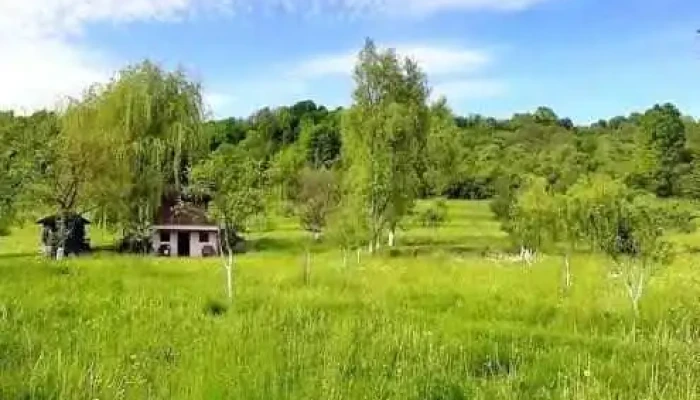 Ferești - Ferești