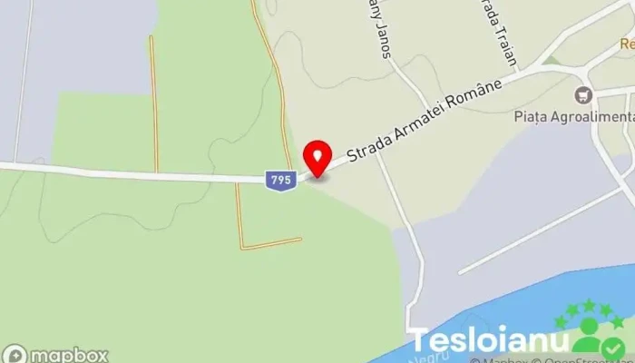 hartă a Ferma de struti Tinca Sediul social în Tinca