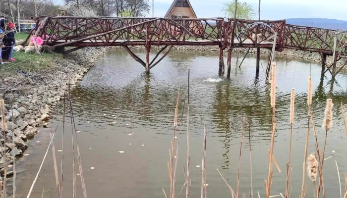 Ferma De Struti Vernesti Cum Să Ajungi Acolo - Unnamed Road