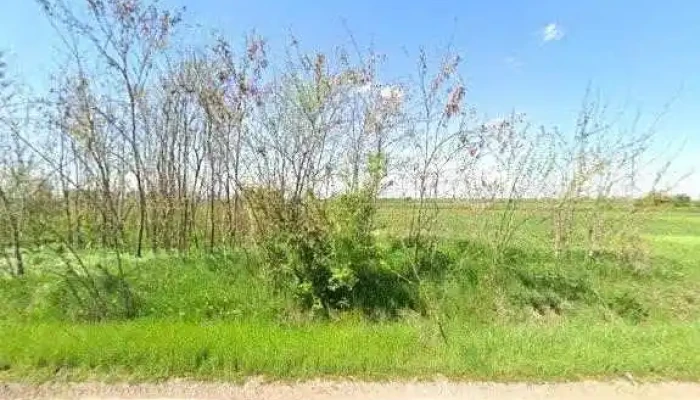 Ferma Sult   Fermier De Romania Street View Si 360deg - Băilești