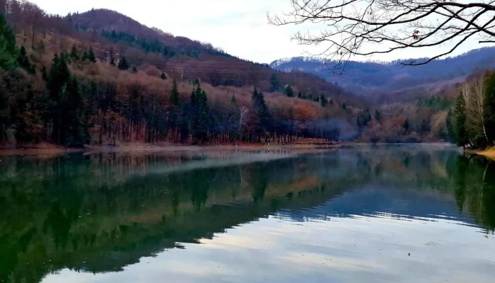 Firiza Baia Mare - Firiza