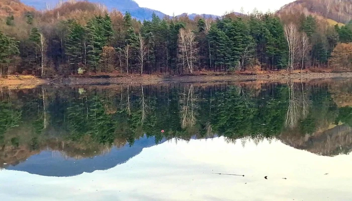 Firiza Baia Mare -  Telefon - Firiza