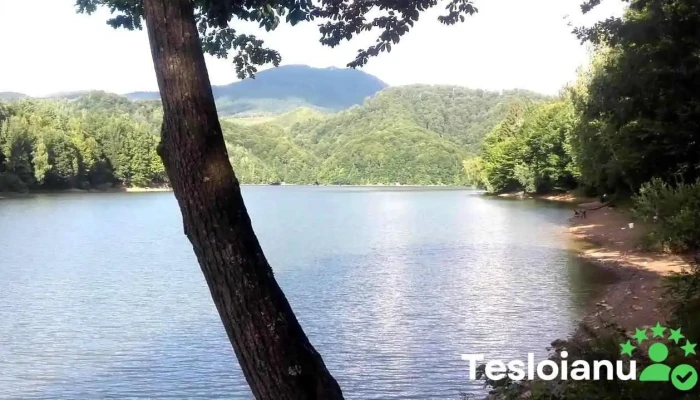 Firiza -  Lac De Acumulare - Romania