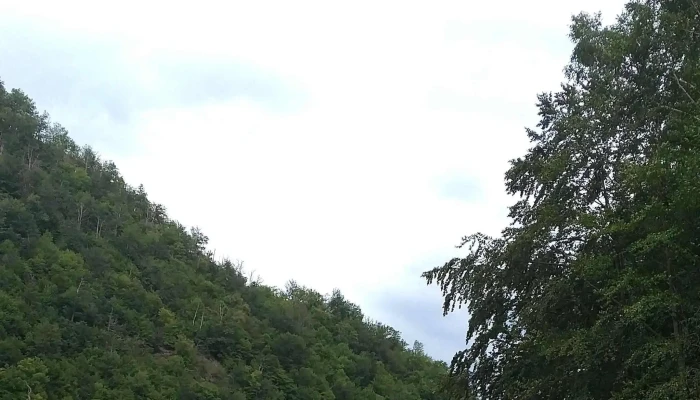 Firiza -  Reduceri - Romania