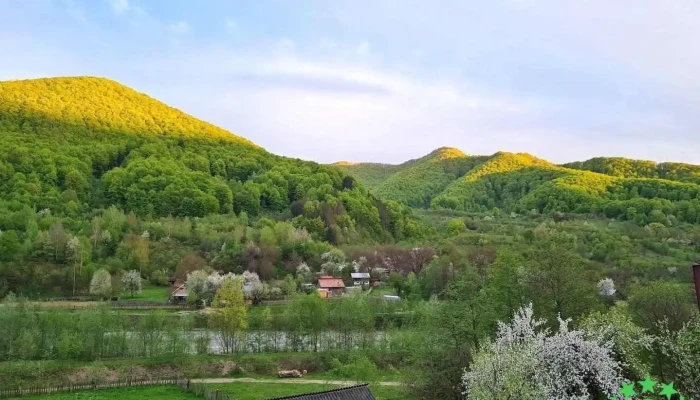Furtunești - Furtunești