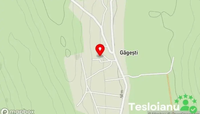 hartă a Găgești  în Găgești